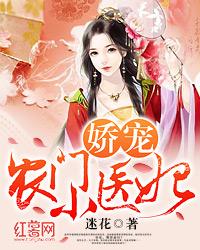 娇宠农门小医妃全集免费阅读