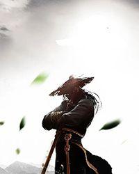 空战之王是什么武器